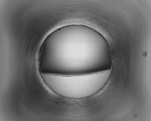 X0000103261526200808291031