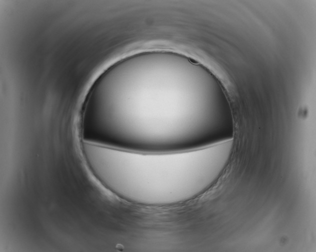 X0000103261527200808291031
