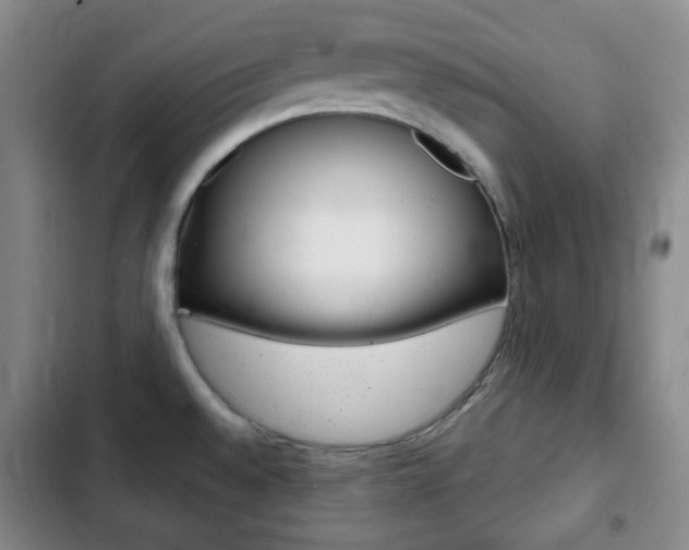 X0000103261528200808291031