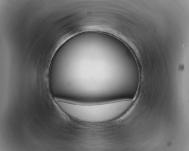X0000103261529200808291031