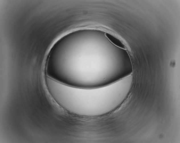 X0000103261530200808291031