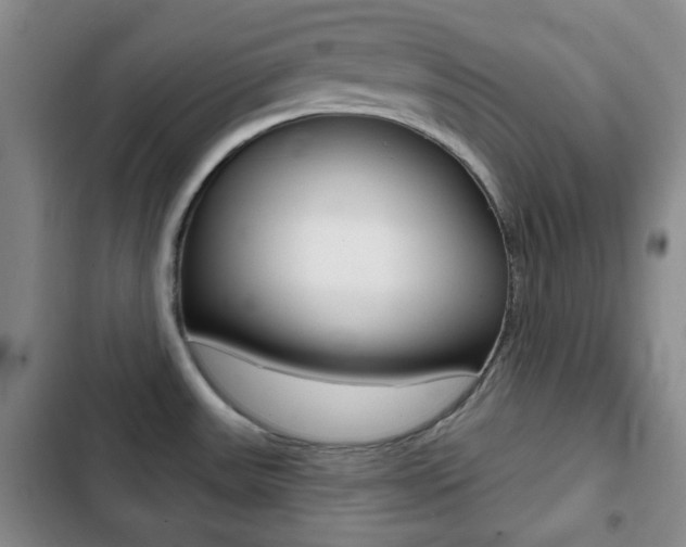 X0000103261531200808291031