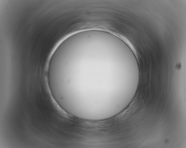 X0000103261532200808291031