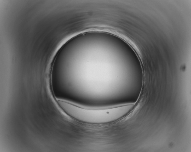 X0000103261533200808291031