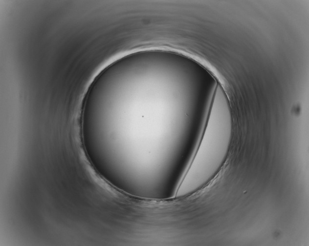 X0000103261534200808291031