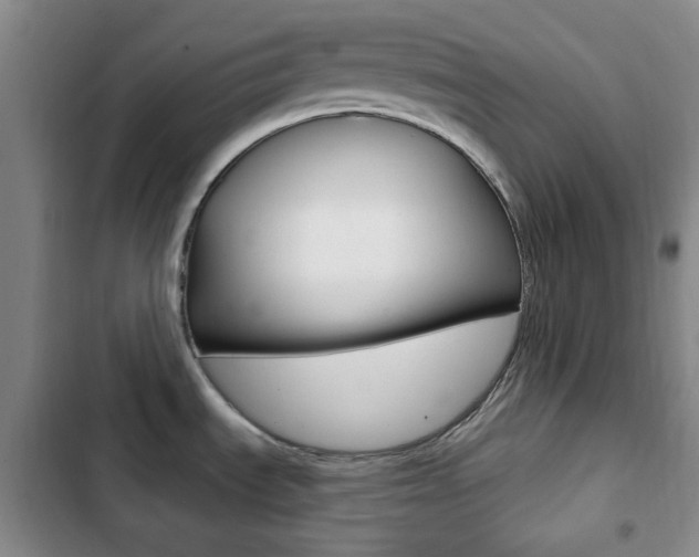 X0000103261535200808291031