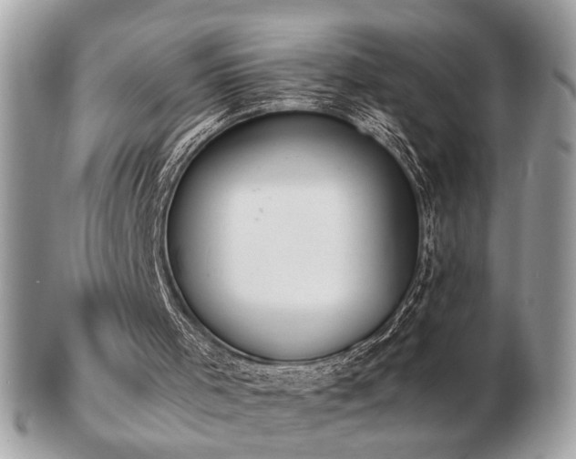 X0000103260001200808291228