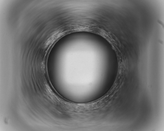 X0000103260002200808291228