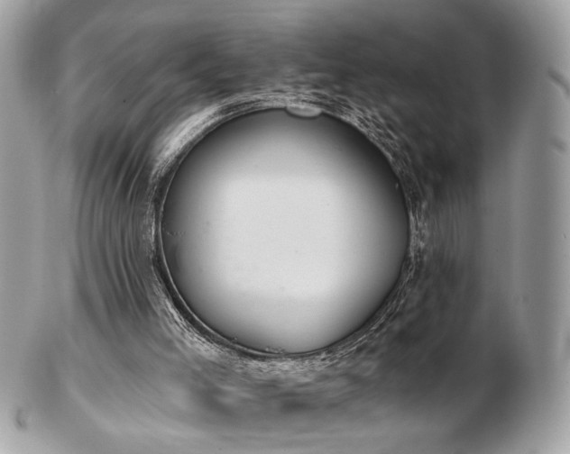 X0000103260005200808291228