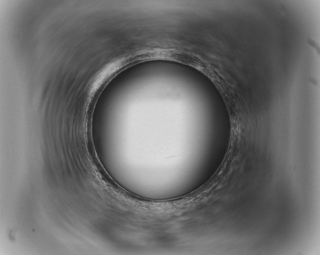 X0000103260006200808291228