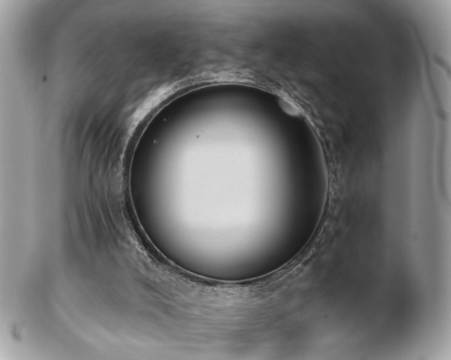 X0000103260008200808291228