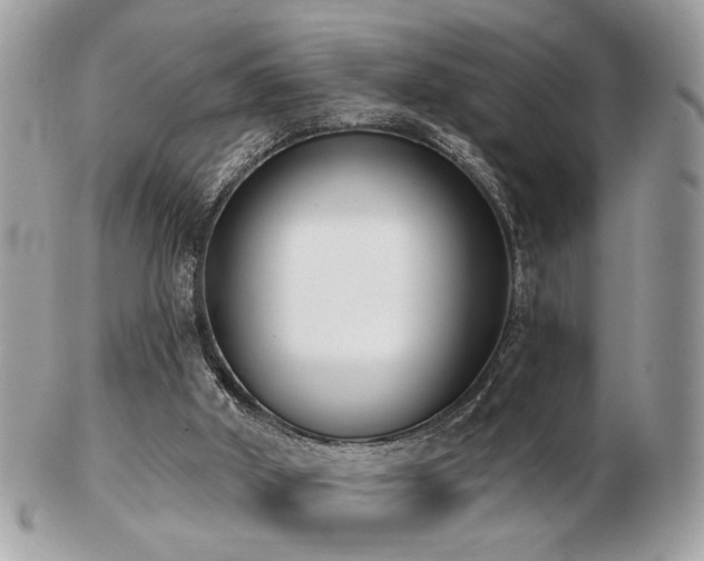 X0000103260010200808291228