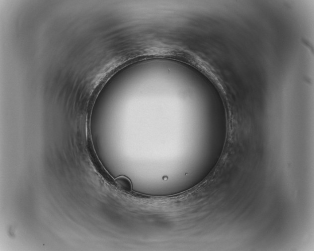 X0000103260011200808291228