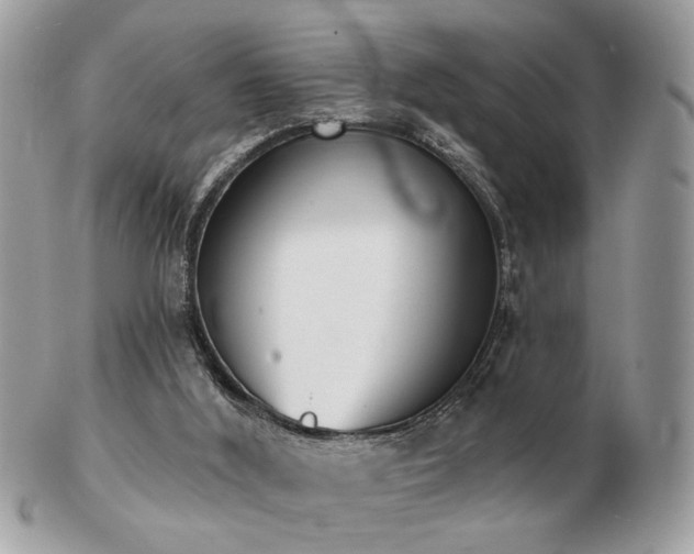 X0000103260012200808291228