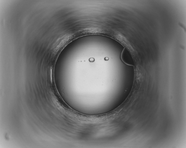 X0000103260014200808291228