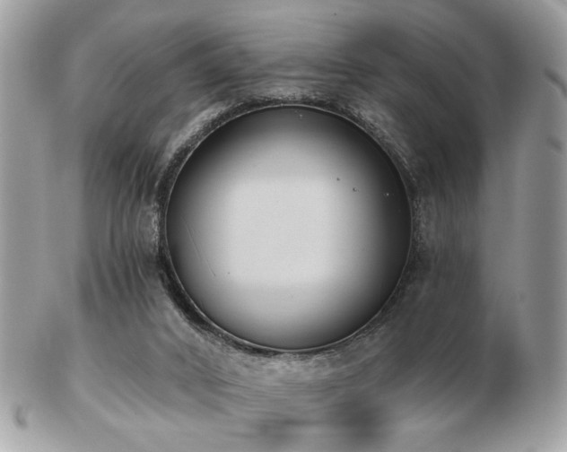 X0000103260016200808291228