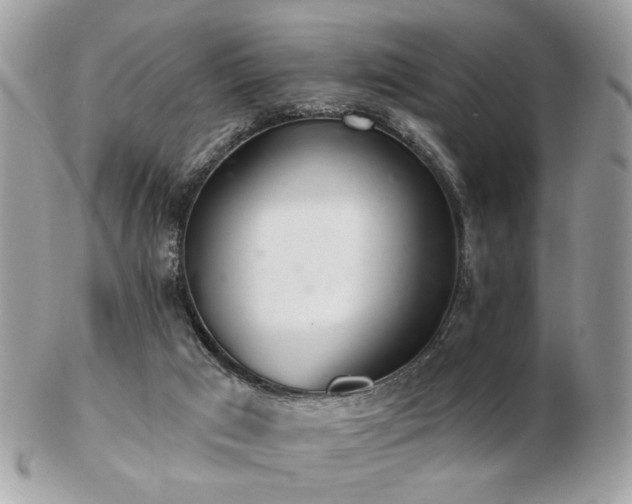 X0000103260017200808291228