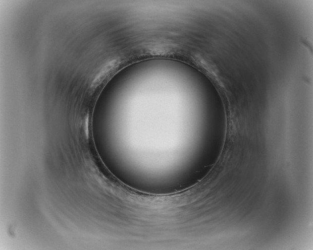 X0000103260019200808291228