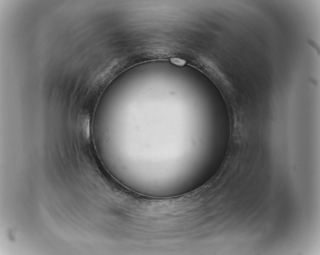 X0000103260021200808291228