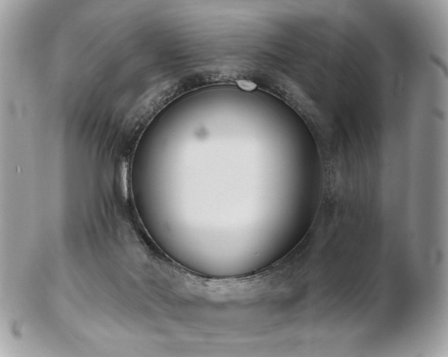 X0000103260022200808291228