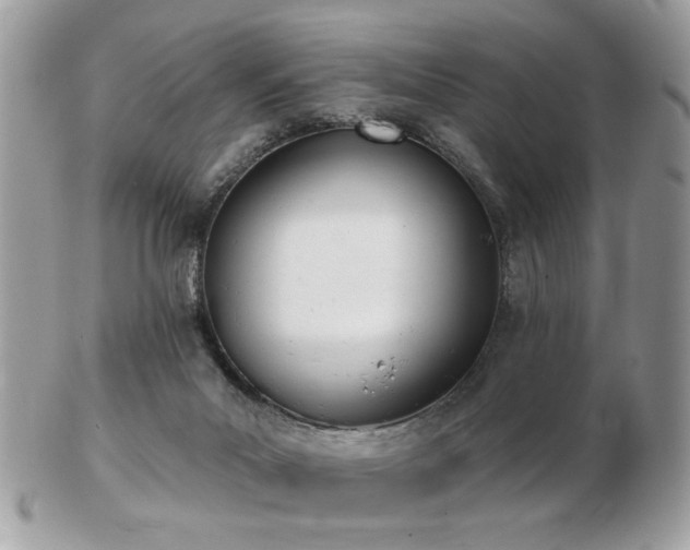 X0000103260023200808291228