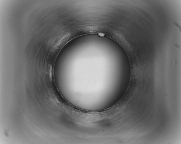 X0000103260024200808291228