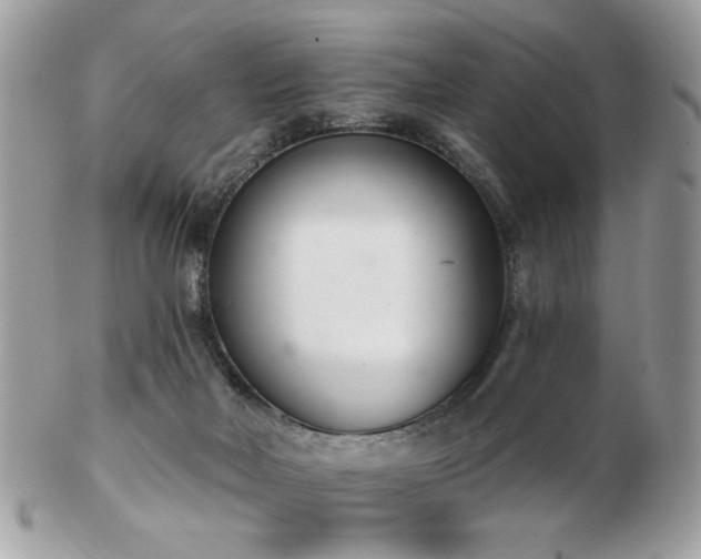 X0000103260026200808291228