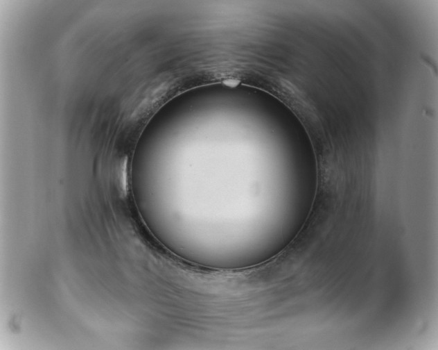 X0000103260028200808291228