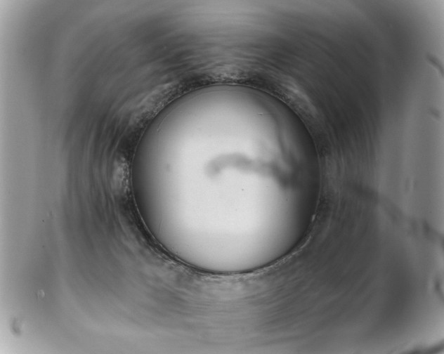 X0000103260029200808291228