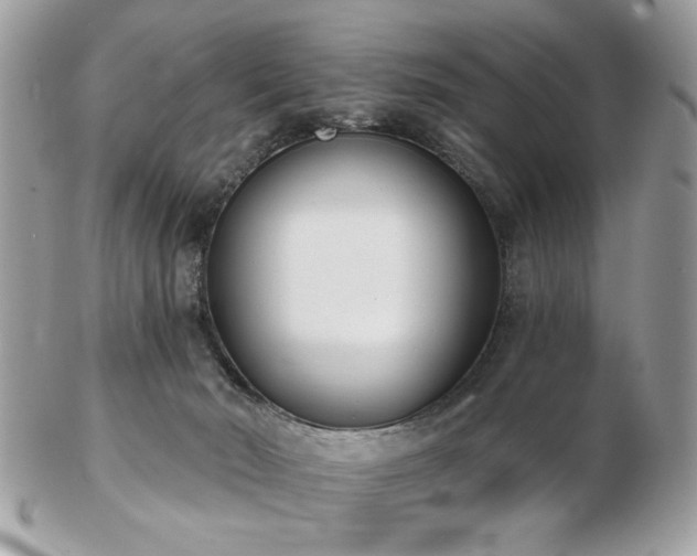 X0000103260030200808291228