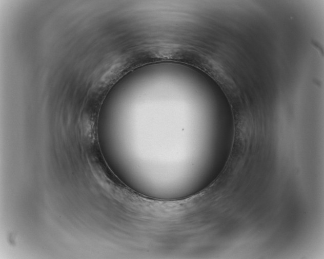 X0000103260031200808291228