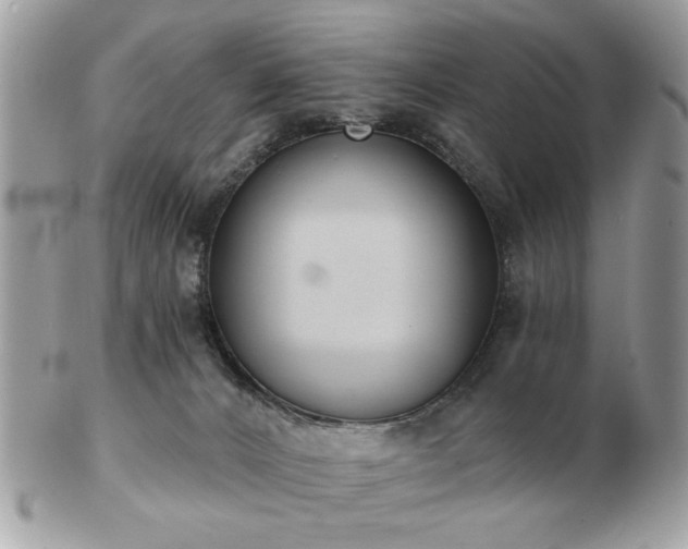 X0000103260032200808291228