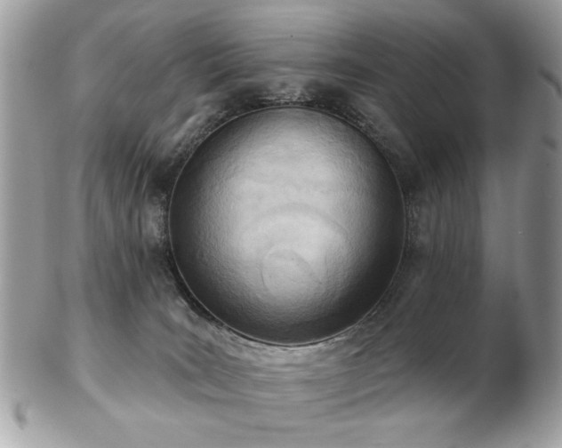 X0000103260035200808291227