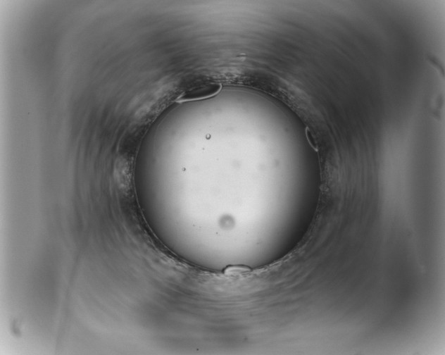 X0000103260037200808291227