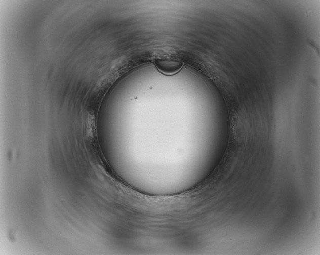 X0000103260038200808291227