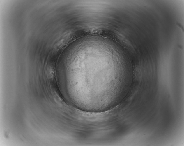 X0000103260039200808291227