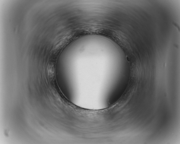 X0000103260040200808291227