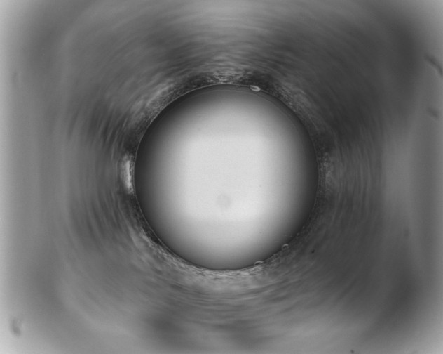 X0000103260042200808291227