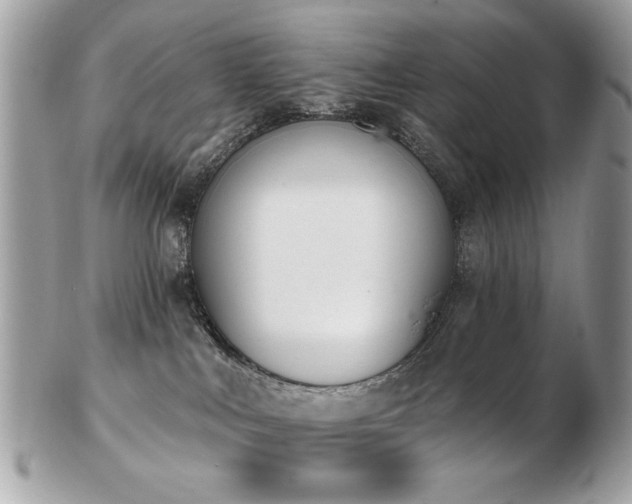 X0000103260043200808291227