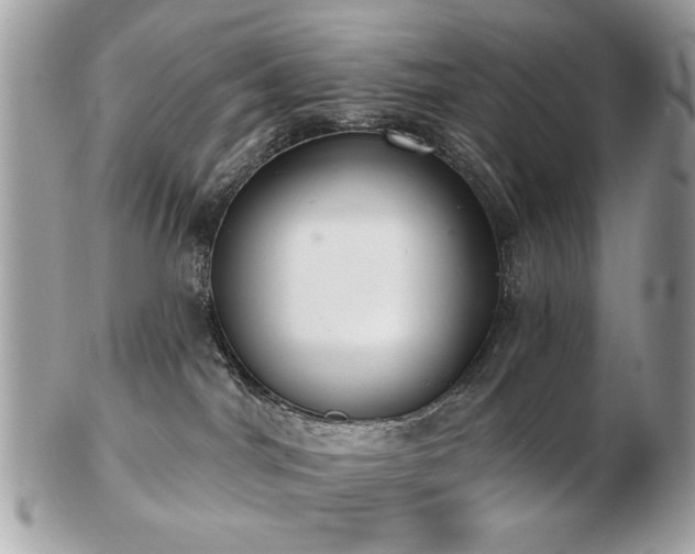 X0000103260044200808291227