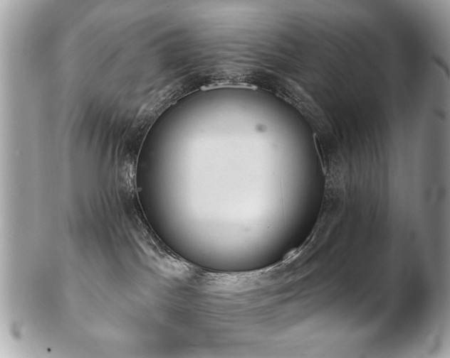 X0000103260045200808291227