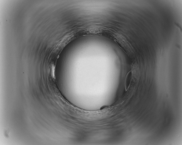 X0000103260046200808291227