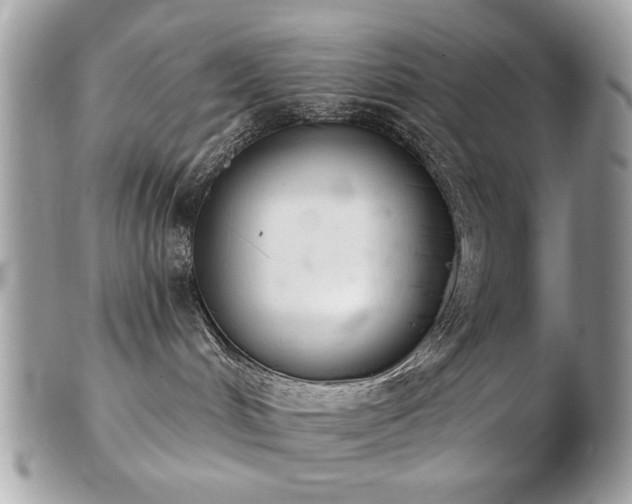 X0000103260048200808291227