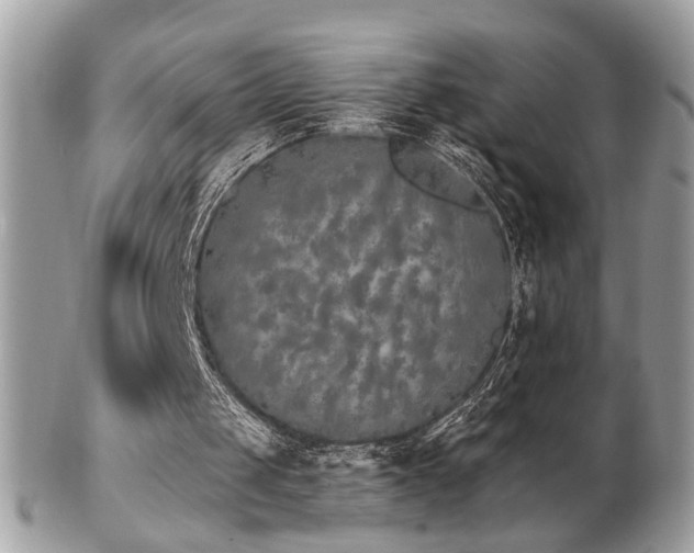 X0000103260049200808291227