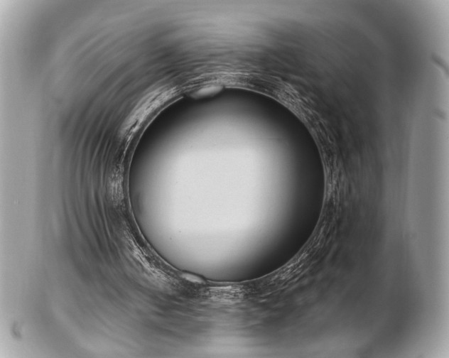 X0000103260050200808291227