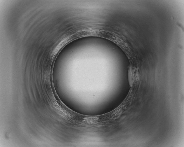 X0000103260051200808291227