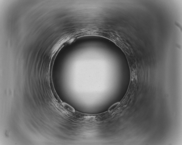 X0000103260052200808291227