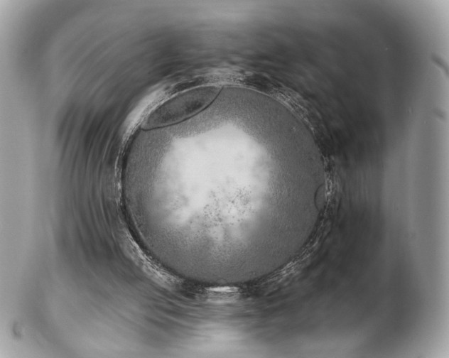 X0000103260053200808291227