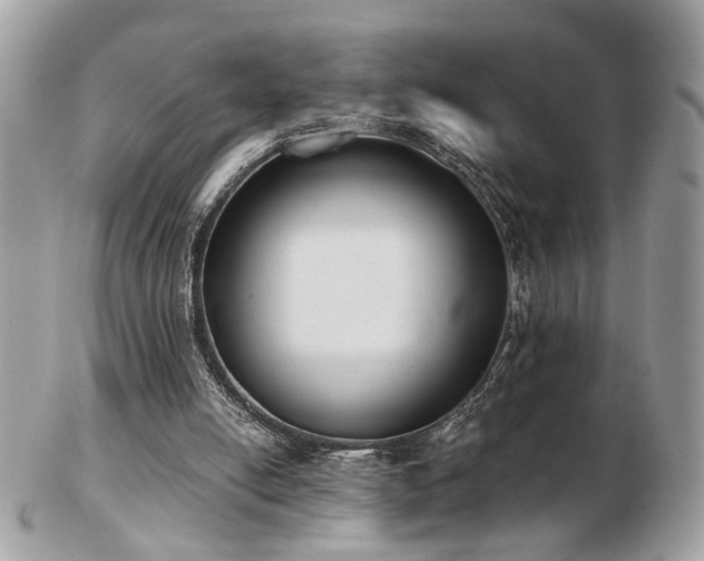 X0000103260054200808291227