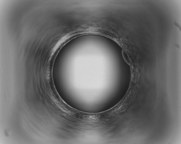 X0000103260056200808291227